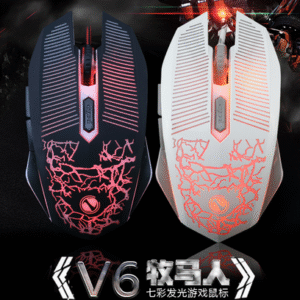 MT08948 MOUSE V6