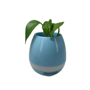 MT08519 MACETA PARLANTE BLUETOOTH CON LUZ LED RECARGABLE ( MACETERO- FLORERO)
