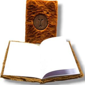 CUADERNO DE CAPYBARA X1 B5-A-01