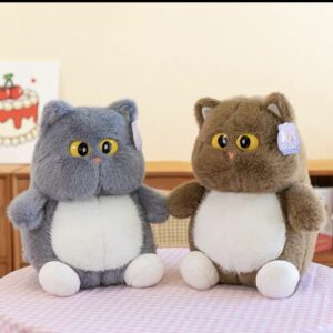 Gato 20cm