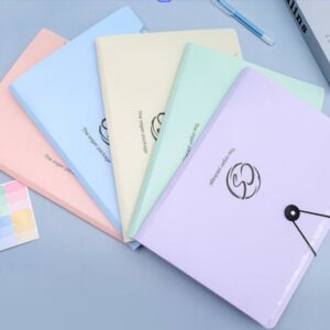 CARPETA de Documento A4 12POCKET 1587 [BG3158]