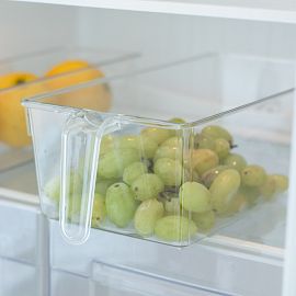 ORGANIZADOR CON MANIJA PLASTICO 29X15 BNB32451