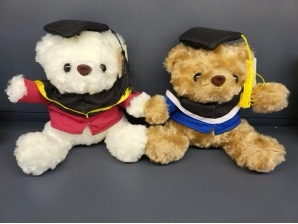 Oso egrasado毕业熊