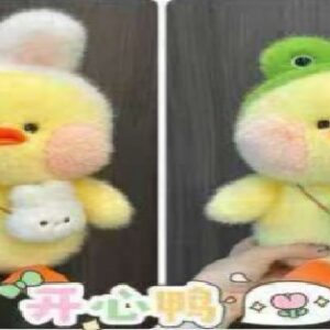 Pato con cartera