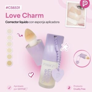 PINK 21 CORRECTOR LIQ. CS6531