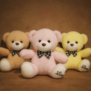 PELUCHE OSO CON TIRANTES 2062-10