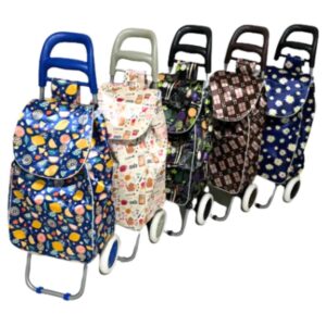 CARRITO DE COMPRAS CON 2 RUEDAS DECORADO RASADO 95 X 33 CM