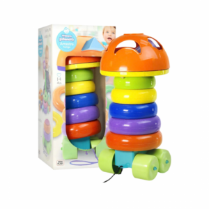 ARRASTRE DIDACTICO HONGO EN CAJA