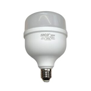 LUZ FOCO 30W TREFI