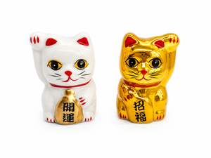 SET X2U CERAMICA GATOS