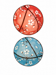 CAJA SET BOWL X2 COLOR