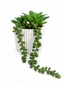 SUCULENTA ARTIFICIAL