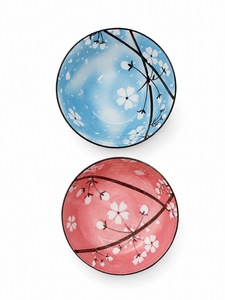 SET BOWL X2 COLOR