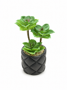 SUCULENTA ARTIFICIAL