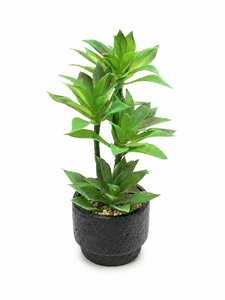 SUCULENTA ARTIFICIAL