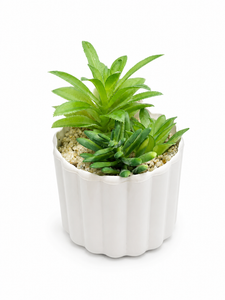 SUCULENTA ARTIFICIAL