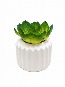 SUCULENTA ARTIFICIAL