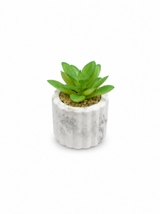 SUCULENTA ARTIFICIAL