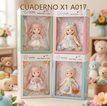 CUADERNO X1 A017