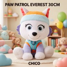 PAW PATROL EVEREST 30CM CHICO