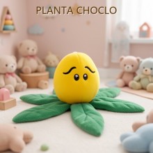 PLANTA CHOCLO