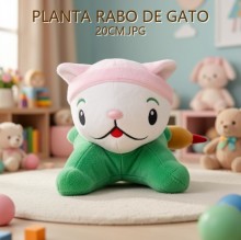 PLANTA RABO DE GATO 20CM.JPG