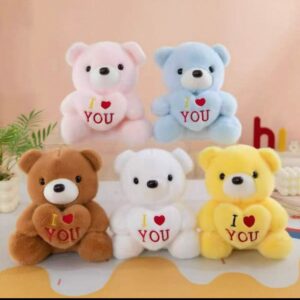 Oso con corazón (love)抱心熊