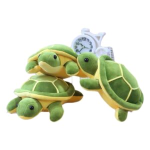 Tortuga乌龟
