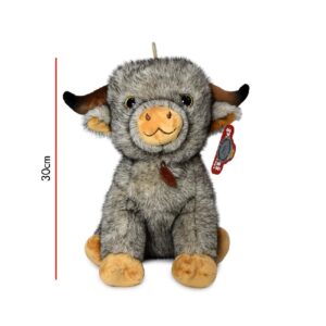 TORO 30 CM