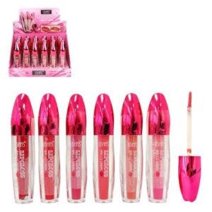 USHAS LIP GLOSS HGLN-2540A
