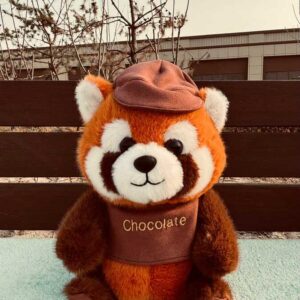 Peluche de 30 cm