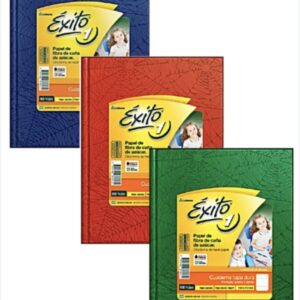 CUADERNO EXITO N1 ARANA 100 HOJA