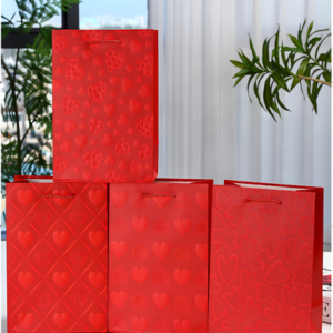 BOLSA DE REGALO MEDIANO 2025080818664 26CM X 32CM X 10CM - X 12 UNIDADES
