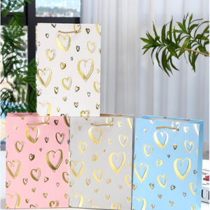 BOLSA DE REGALO CHICO 2025080818831 18CM X 23CM X 10CM - X 12 UNIDADES