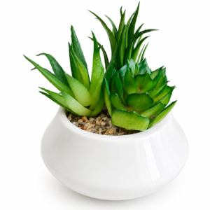 SUCULENTA ARTIFICIAL