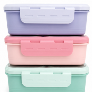 LUNCH BOX INDIVIDUAL SEAL 700ML* 7096
