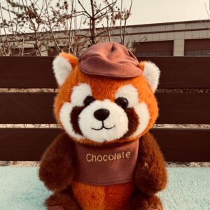 Peluche 23cm