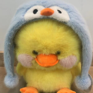 Pato 30cm