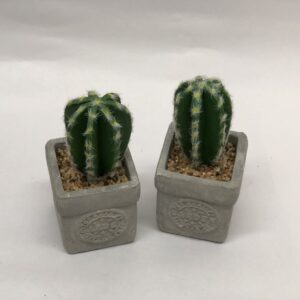 CACTUS C/MACETA ABK31 03