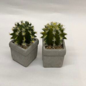 CACTUS C/MACETA ABK31 04