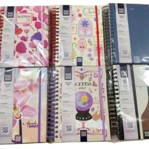 AGENDA 2027 BIGLIFE 16X22-398PAGS DIA POR DIA