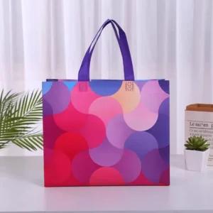 BOLSA DE REGALO REUTILIZABLE ESTAMPADA SURT. -  X 12 UNI