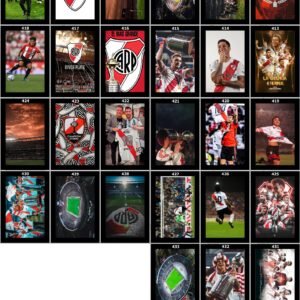 Cuadro placa x1 40x60 river