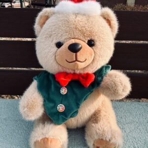 Oso con saco verde 30cm