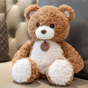 Oso teddy 40cm