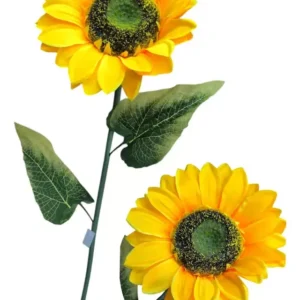 Vara Girasol Grande x 1 Alto 1.1Mtrs