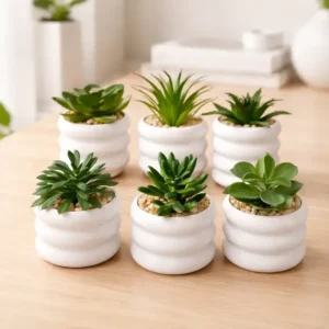Suculenta Mini Artificial C/maceta 8cm Deco